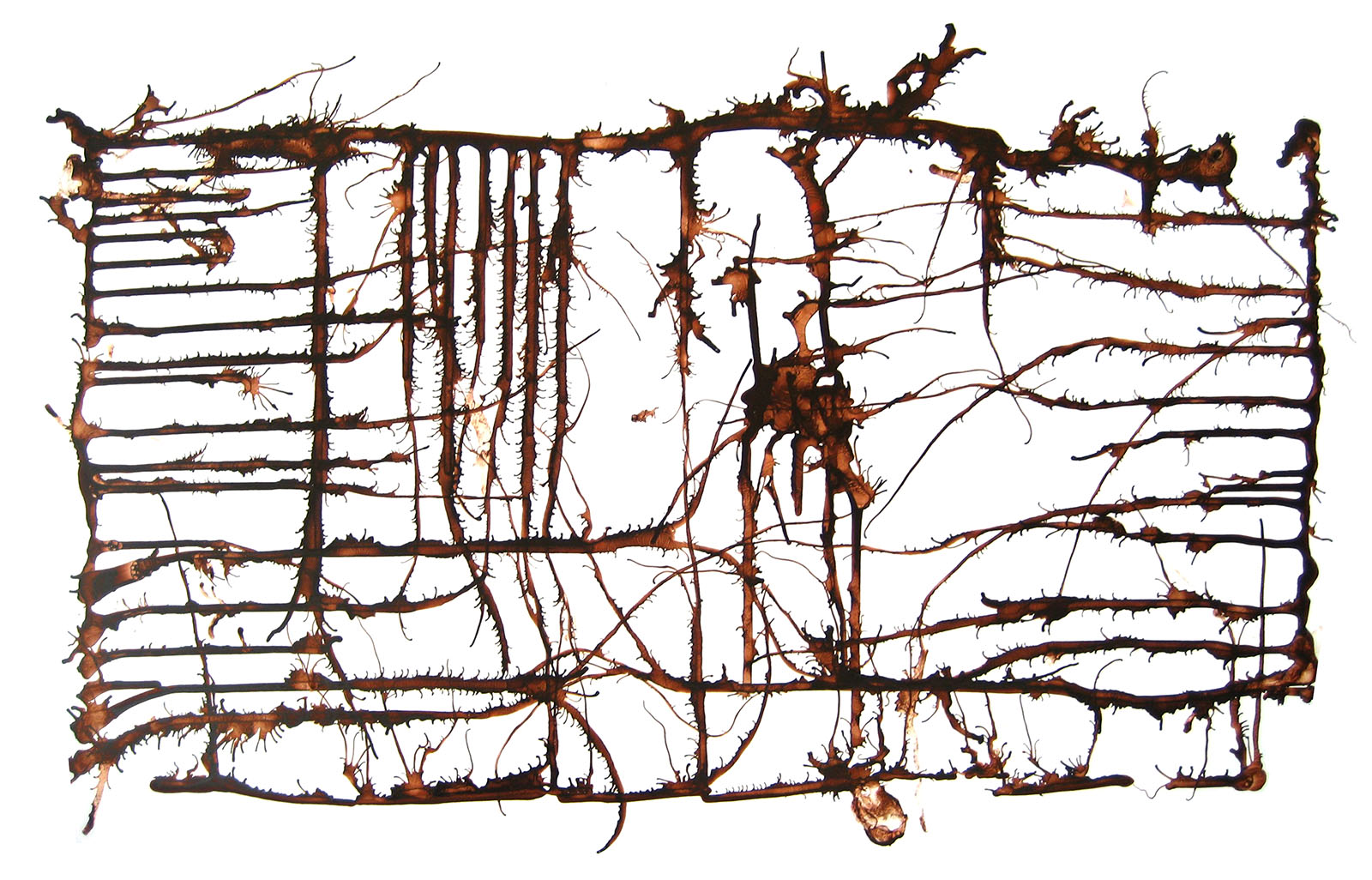 “Underground (grid),” 2009, ink on paper, 23in x 35in.