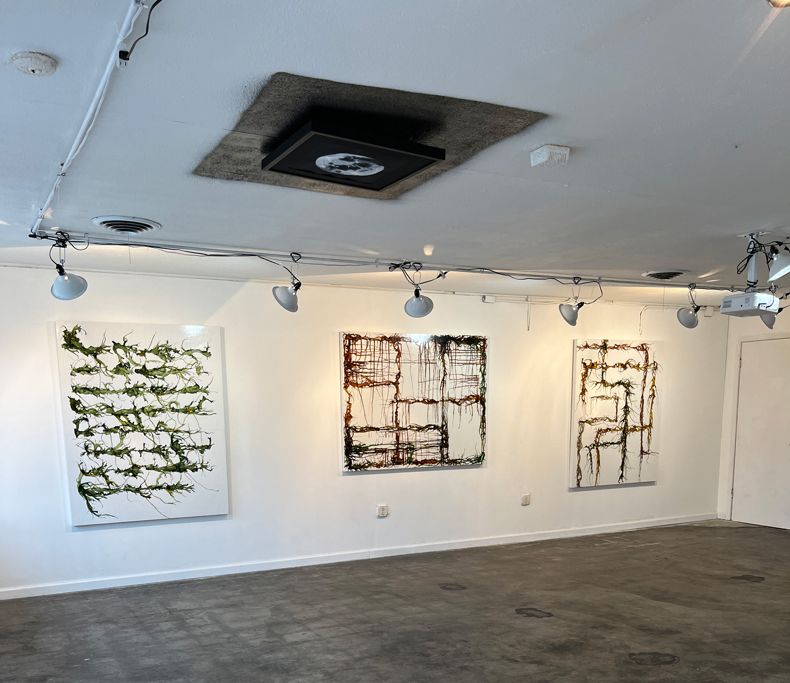 Installation view of "Entropy Plan for the Western Fam"